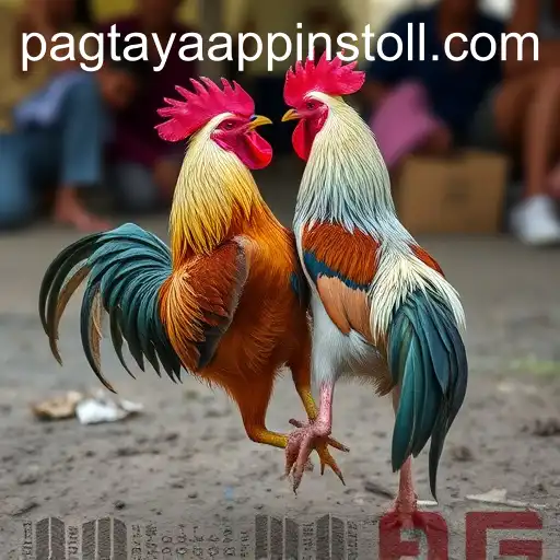 Security and Trust Pagtaya - International Licenses and Certifications